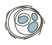 Healthy-Nest-Nutrition-Denver